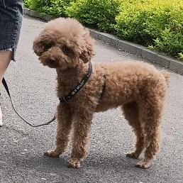 健康是福