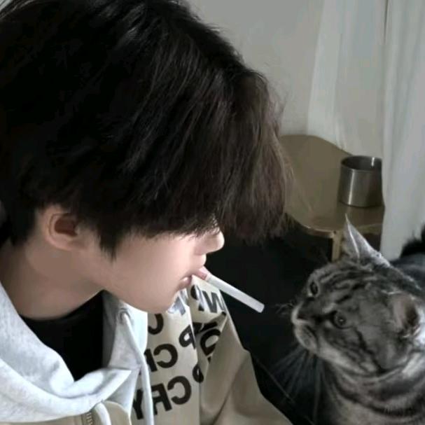 灰太🐺