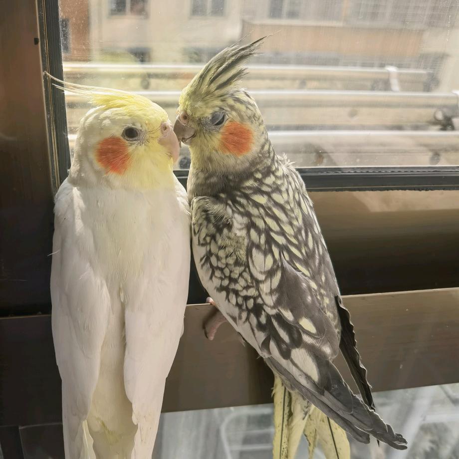 林章子钧