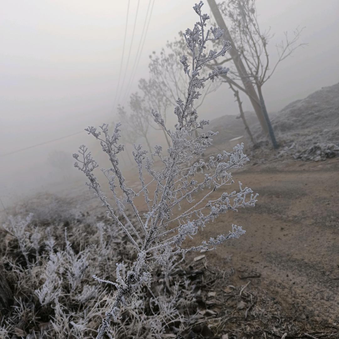 陈住气0-0