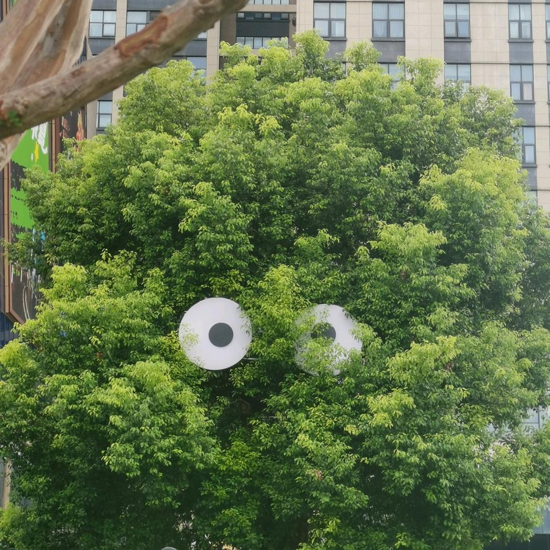 欣伴然