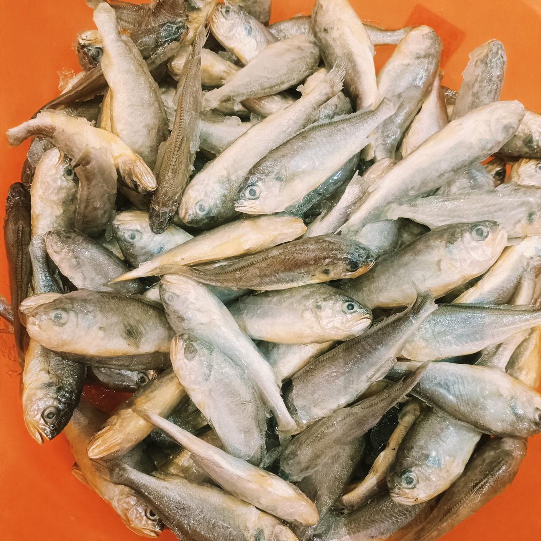 生与死的默契