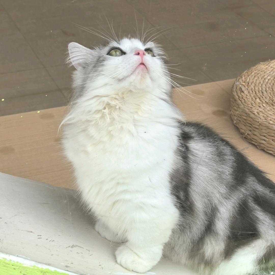 二月.