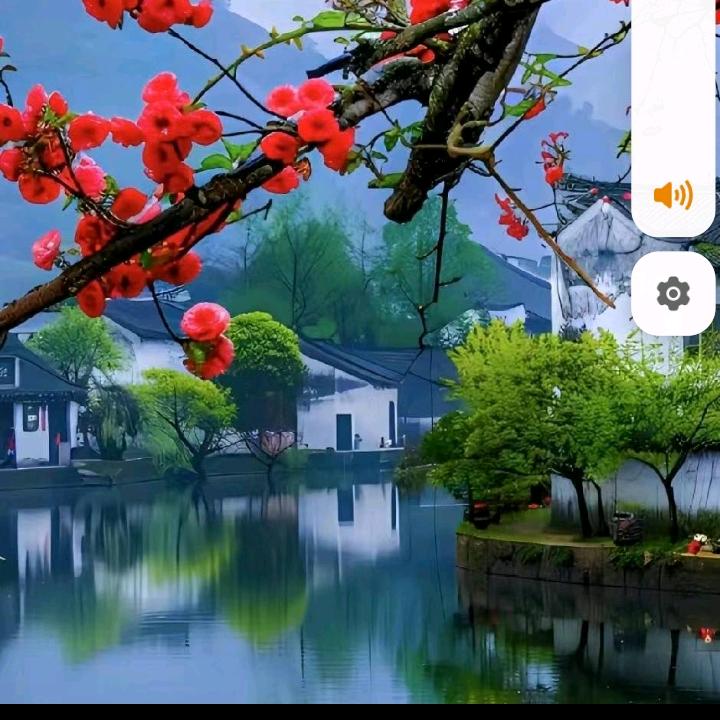 骑着蚂蚁去流浪