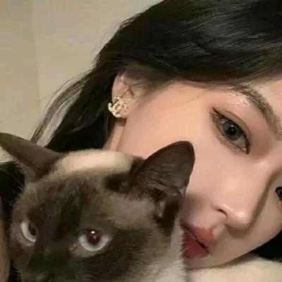 顾宝宝「BC」💚