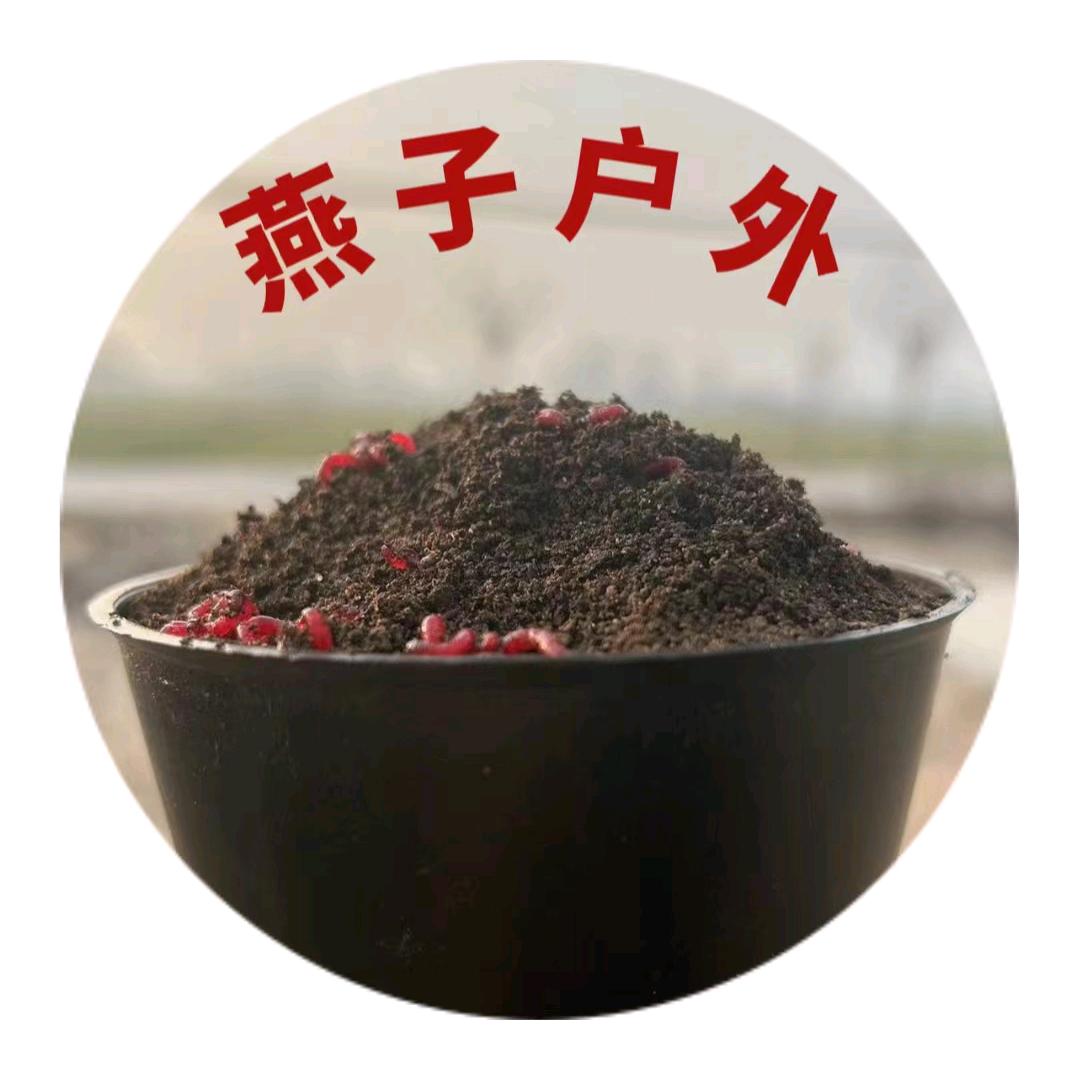 燕子户外