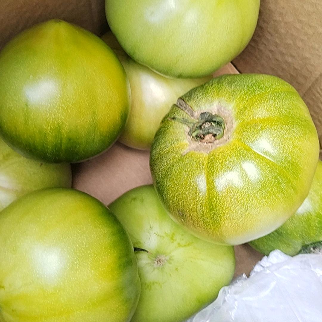 专业收割，水稻，大豆，