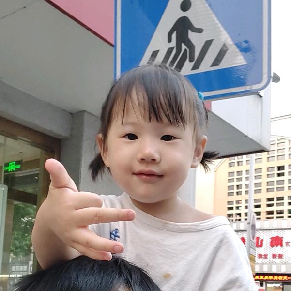 云想衣裳花想容