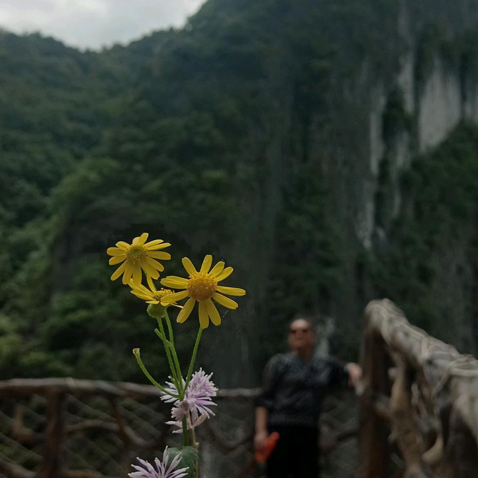 七四年，虎妞