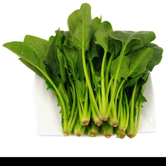 健康戒者向往更好