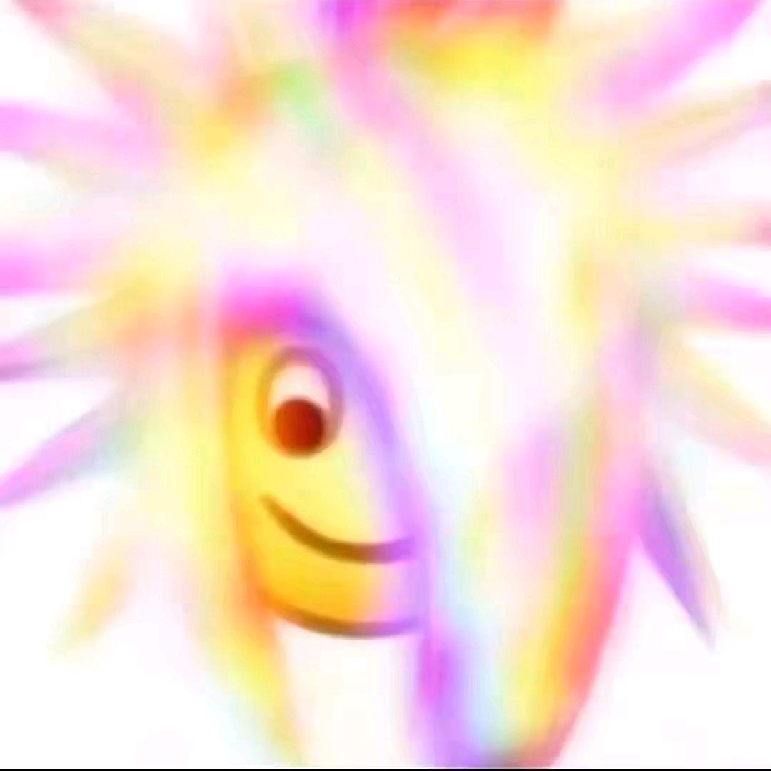 新向往