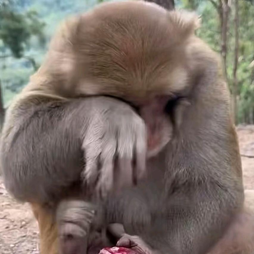 千聿
