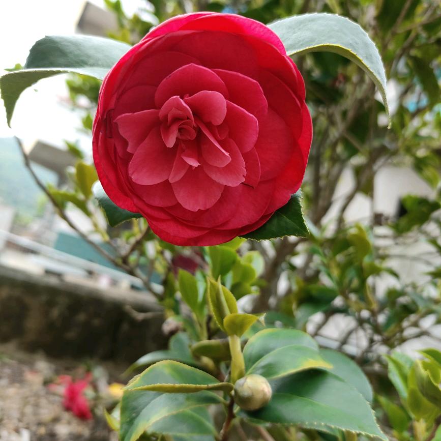 爱自己最实在