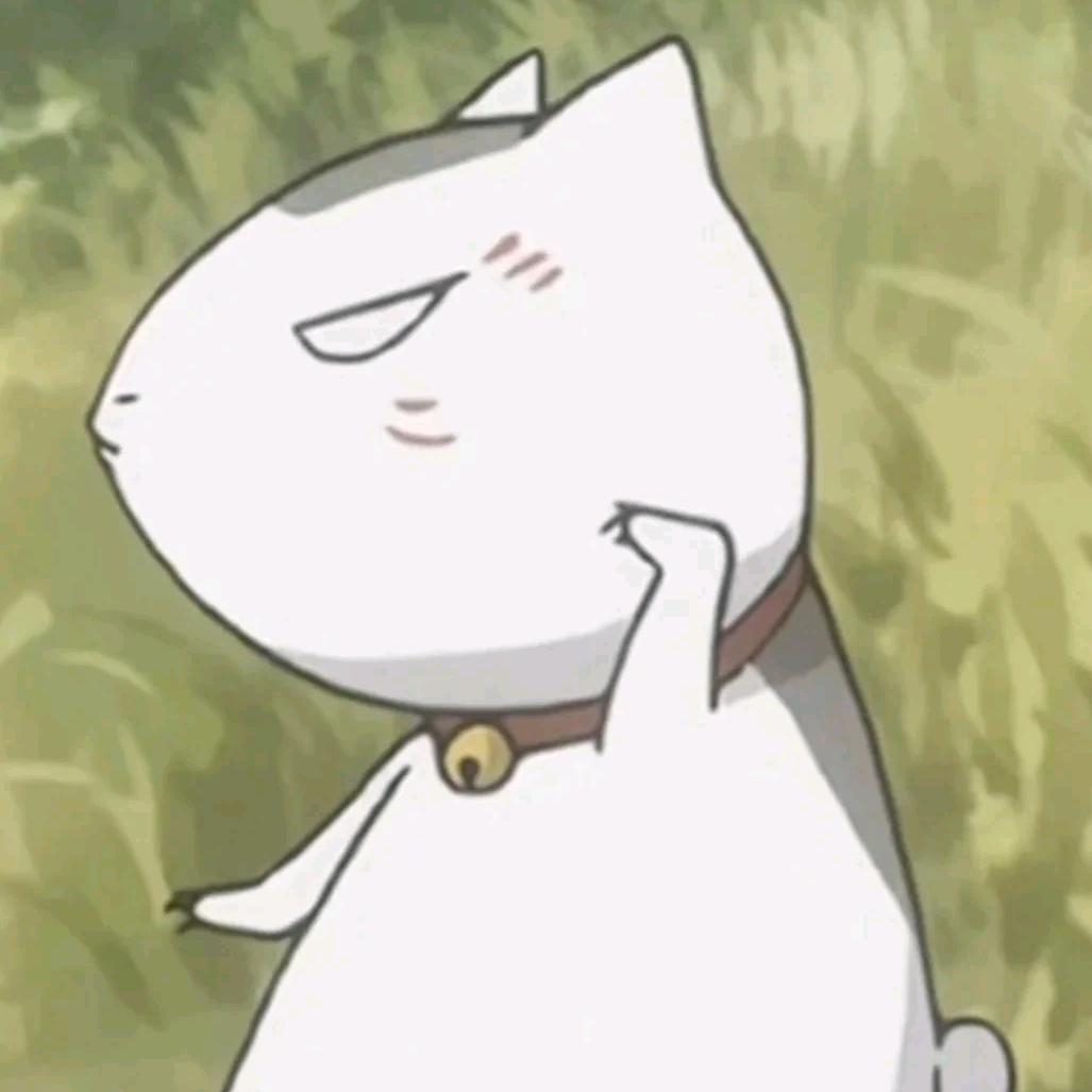 请叫我狸花猫大人