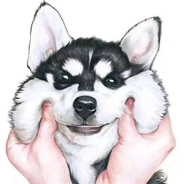 通知: