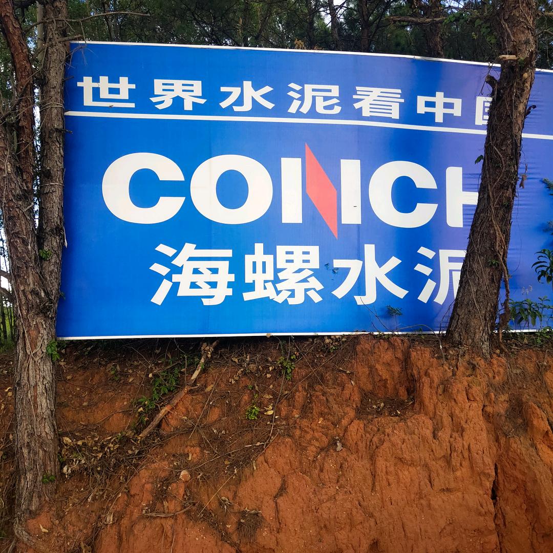 东山再起