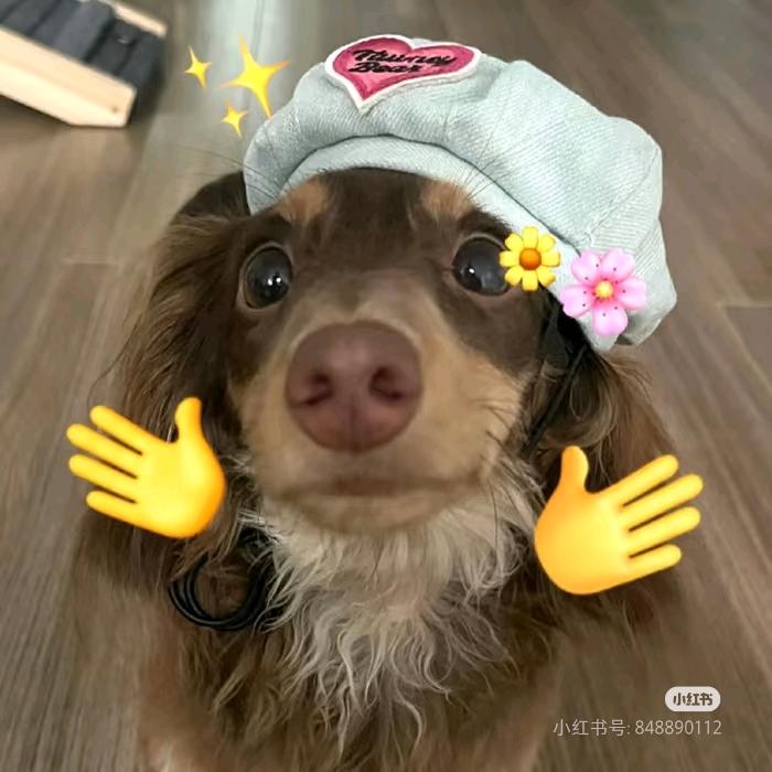 好多鱼🐟