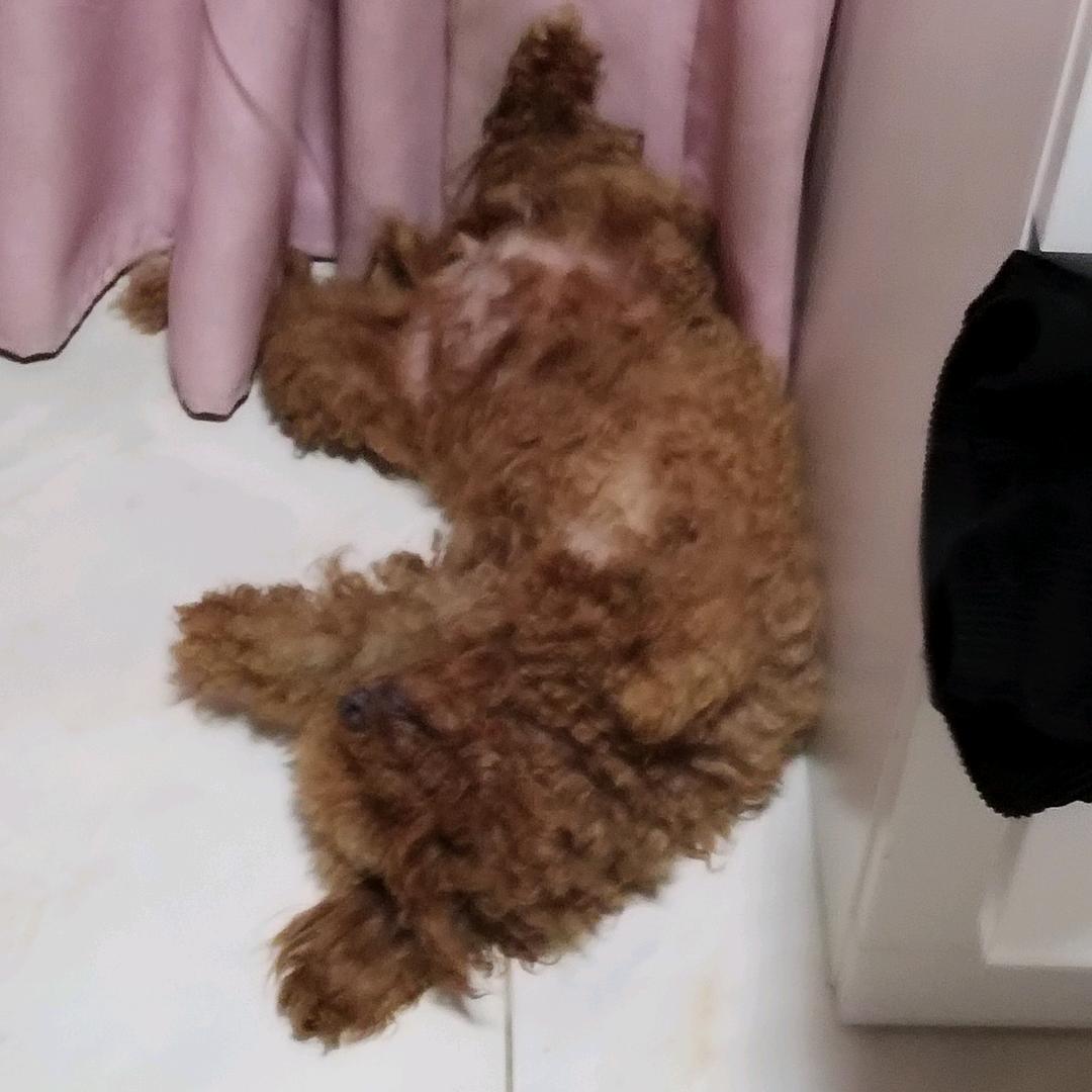 一柯淘