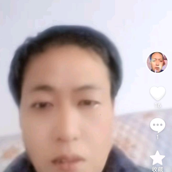 依景还乡