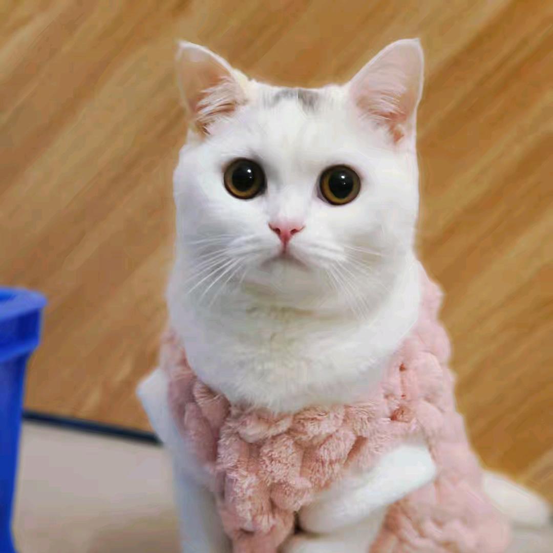 ᭄ꦿ温晚意᭄ꦿ