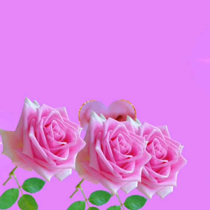 王忠英