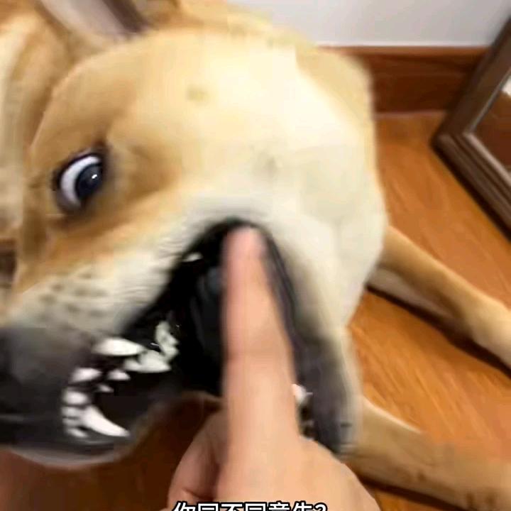 靓仔