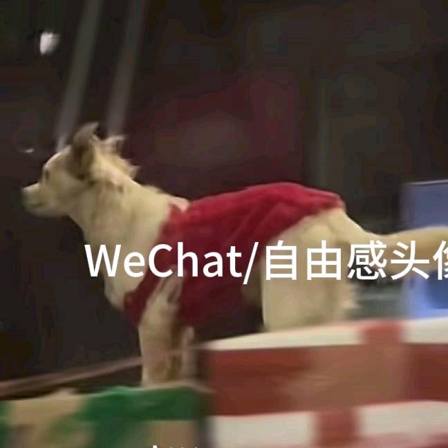 一溜烟（似水版）