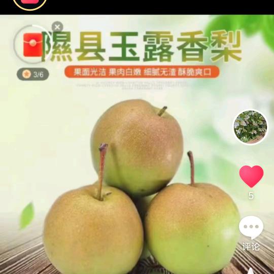我爱宝贝儿
