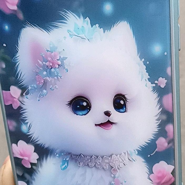 申姐