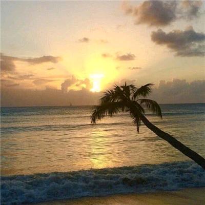 这个杀手有点甜