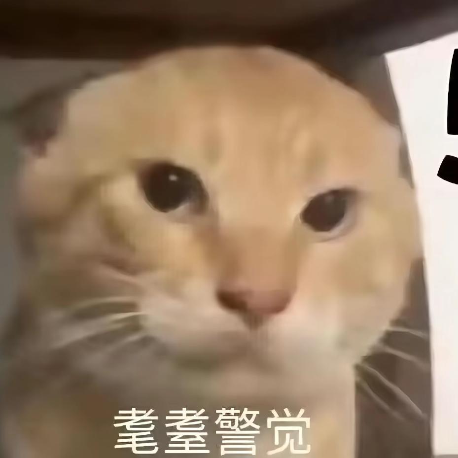 哈基米