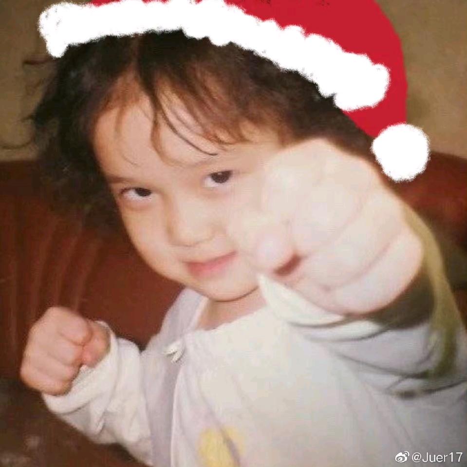 折耳猫吃鱼腥草