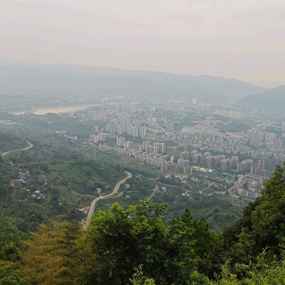 最熟悉的陌生人