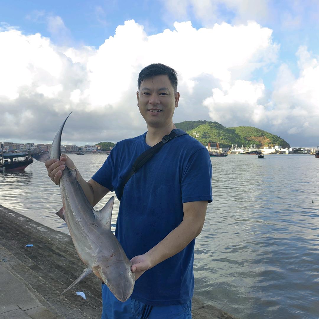 枫子卖渔