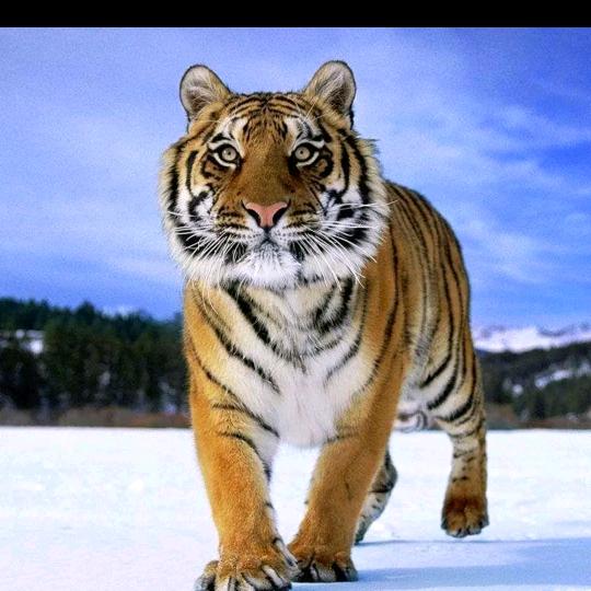 人生相遇 皆为缘