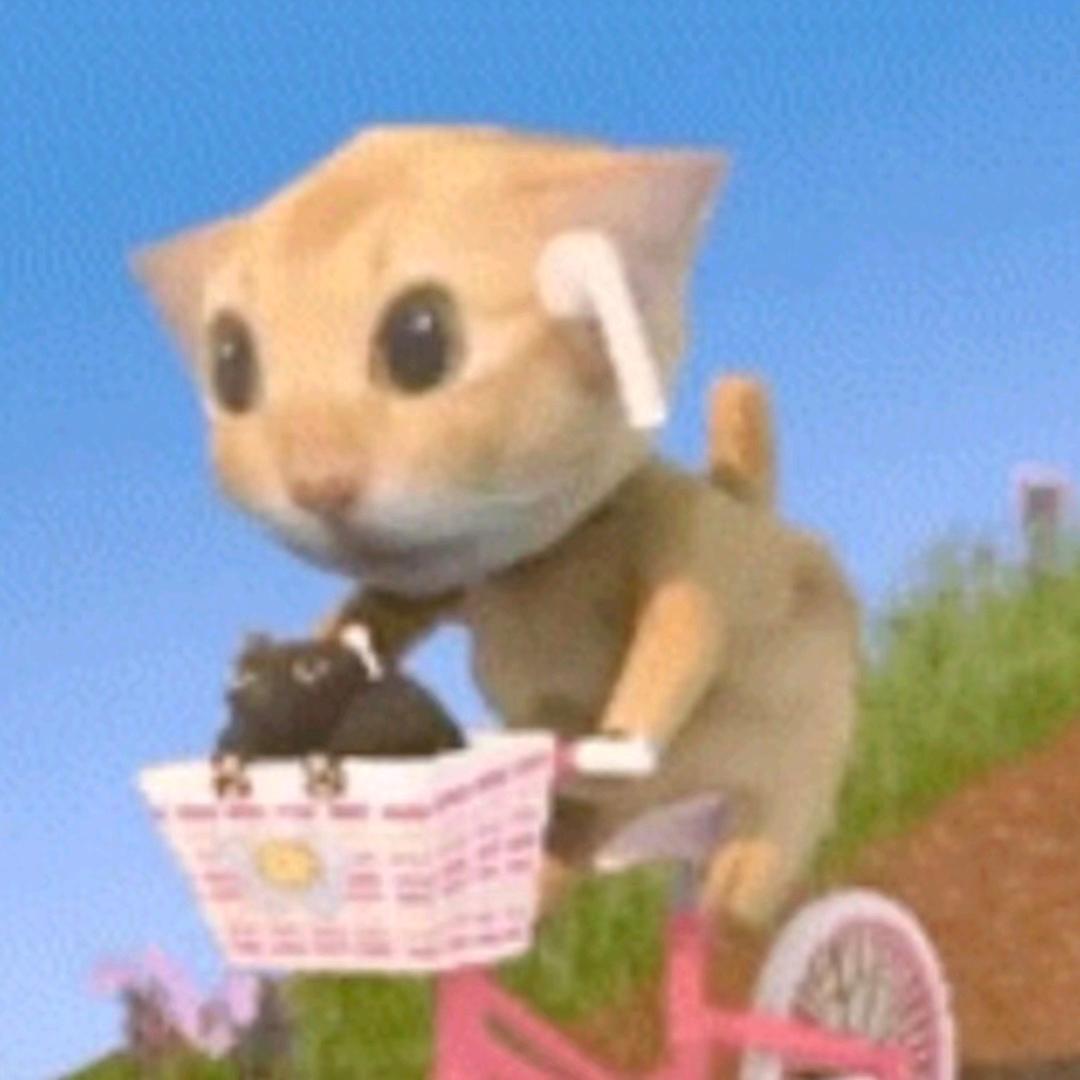 小猫夺得山地自行车大赛冠军🏆