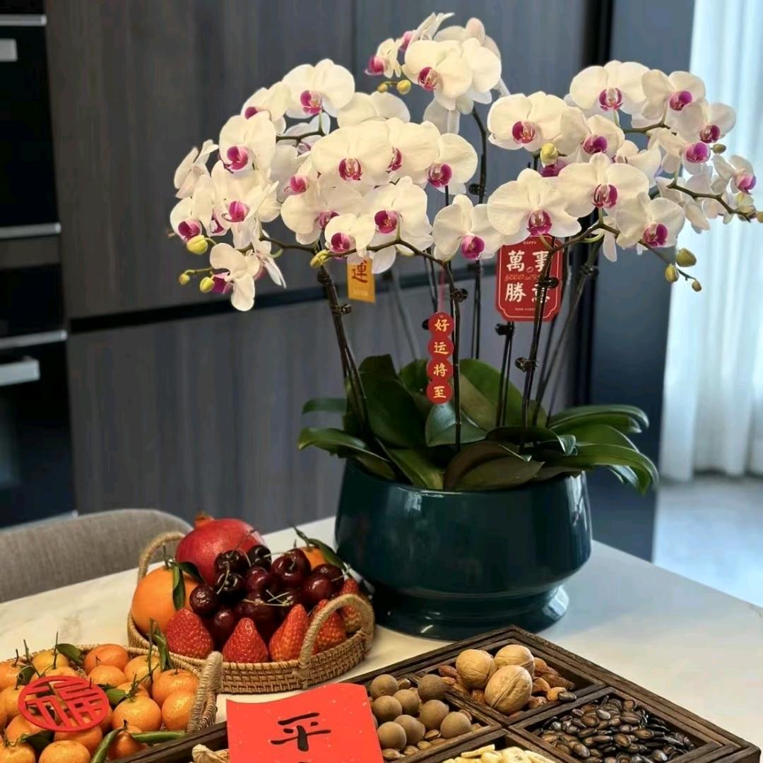 北海的，佳颜，Spa，