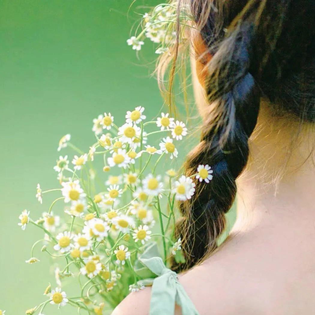 🌺🌺