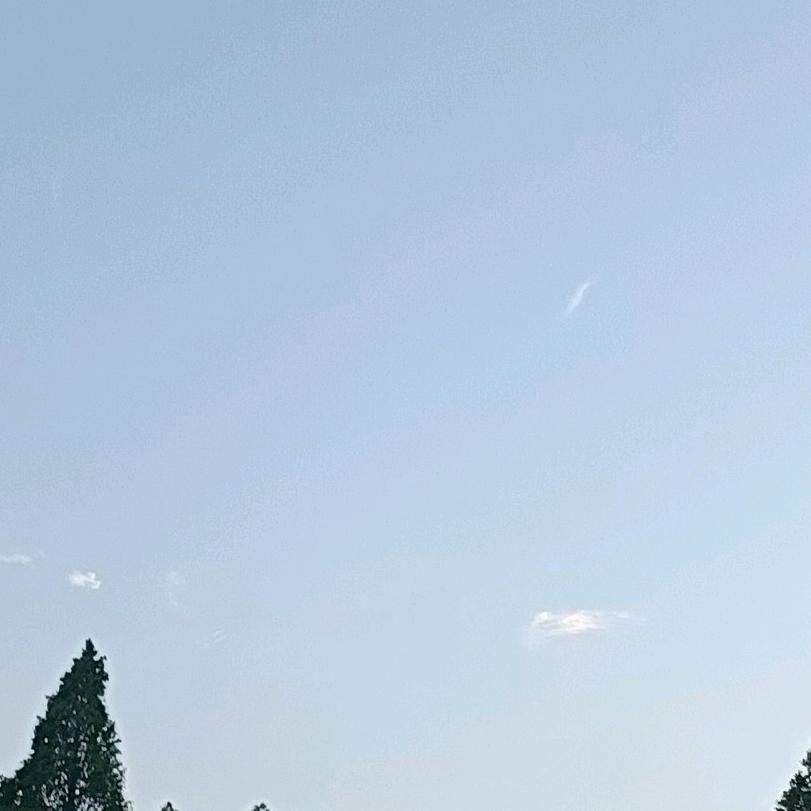 麦亚云(减肥+好物分享)