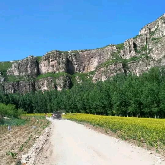 手机用户65737753542