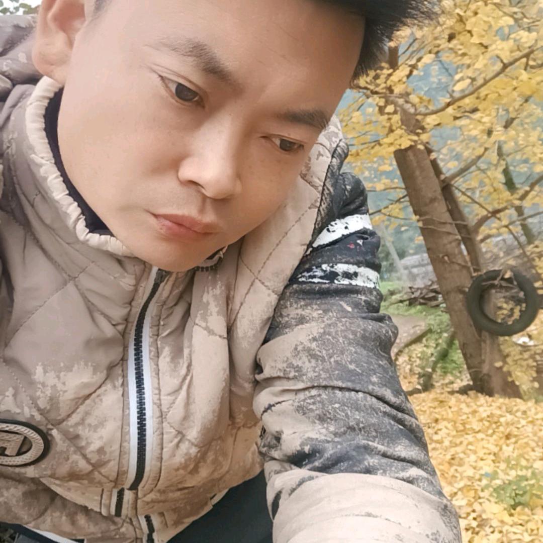 小卫