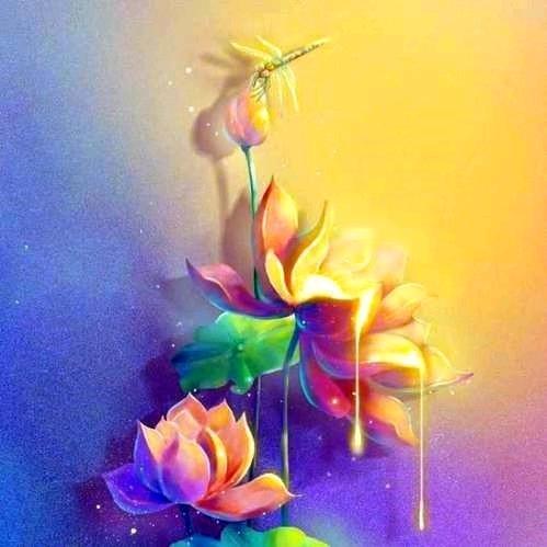 顺泽传媒澄老师