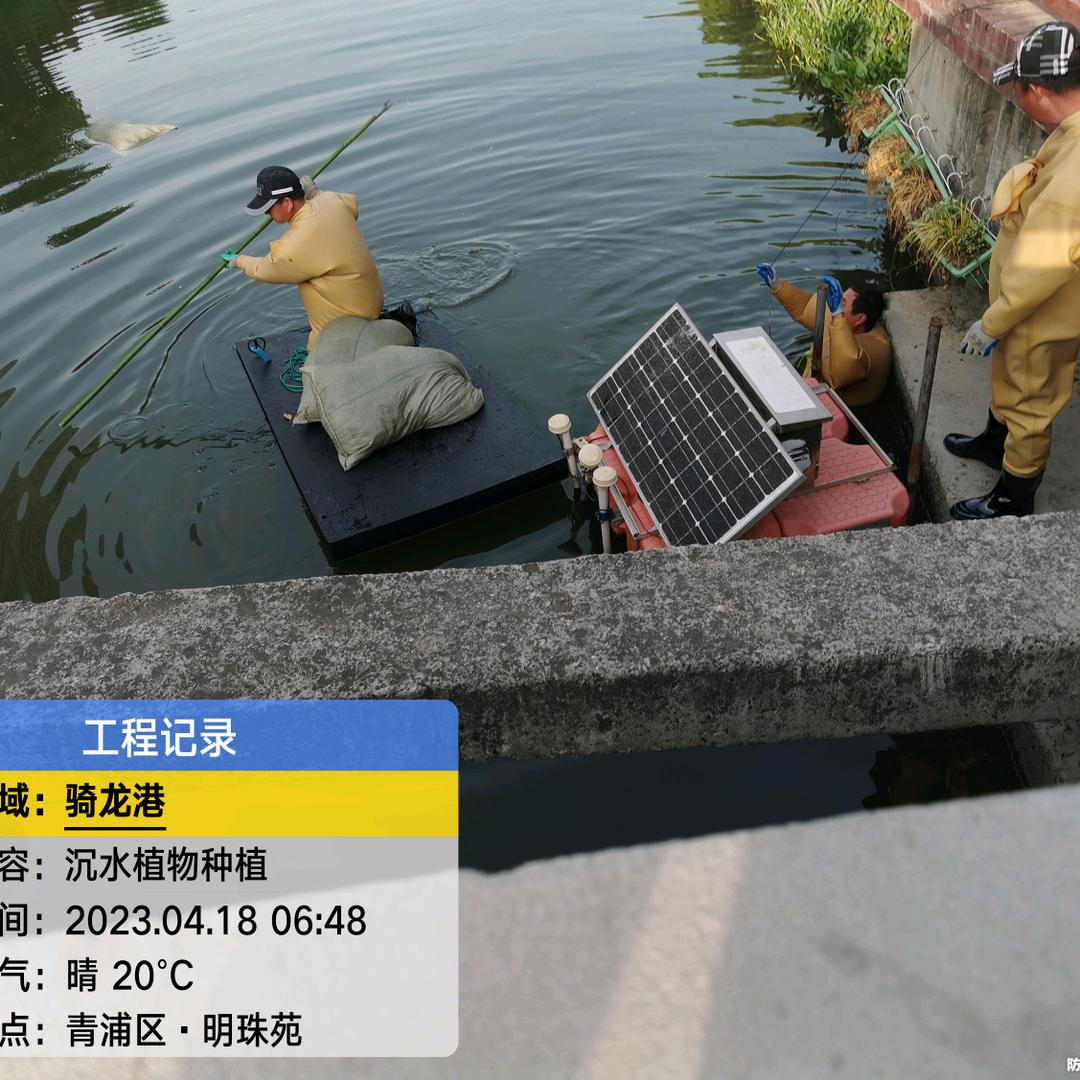 荷红园人工浮岛