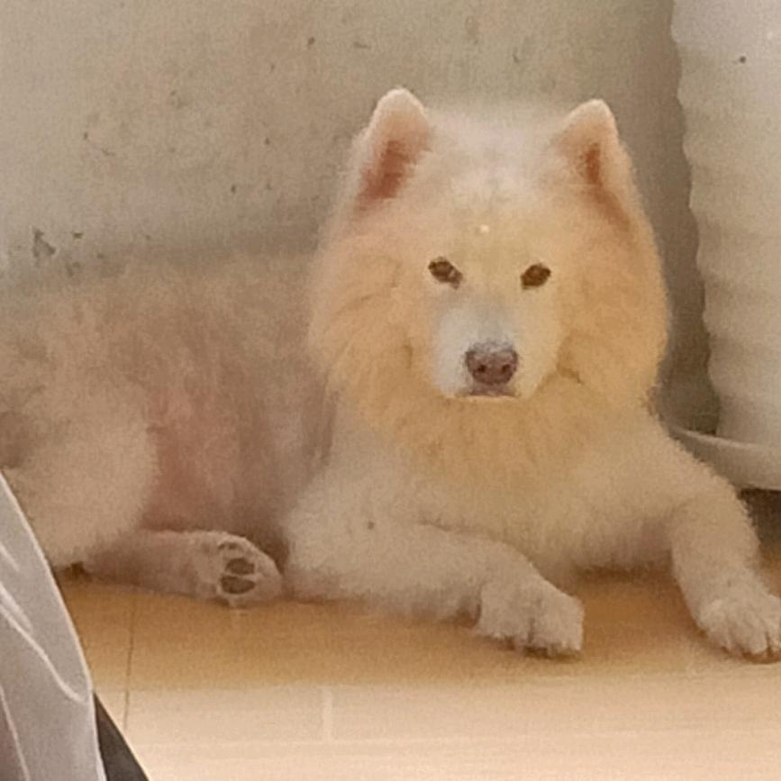 用户名30952563头像