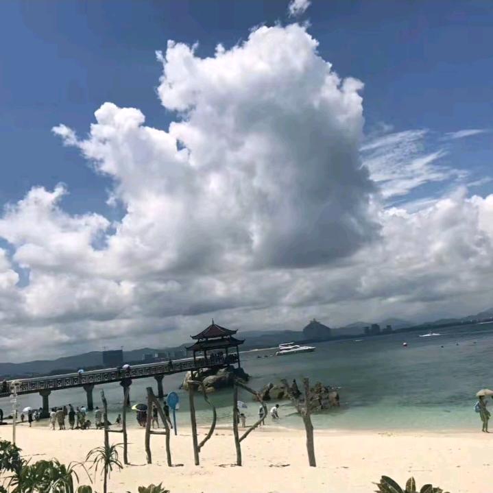 鱼鸟不同路