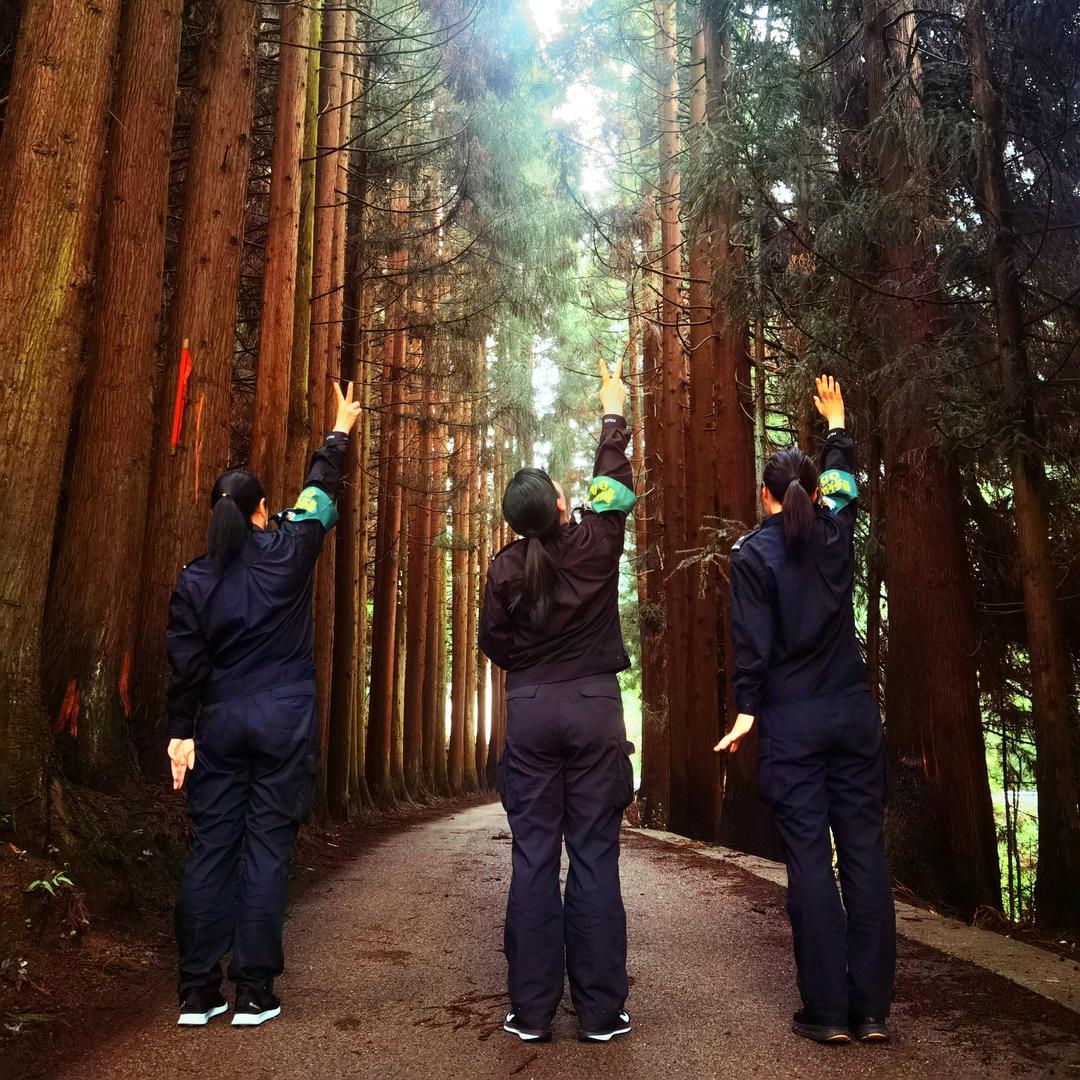 掉进肉坑的猫咪😹😹😹