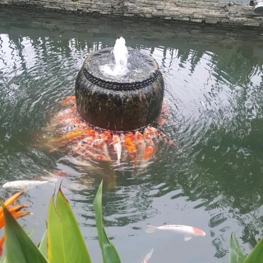 金涛