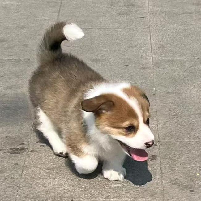 沃特阿尤赌赢