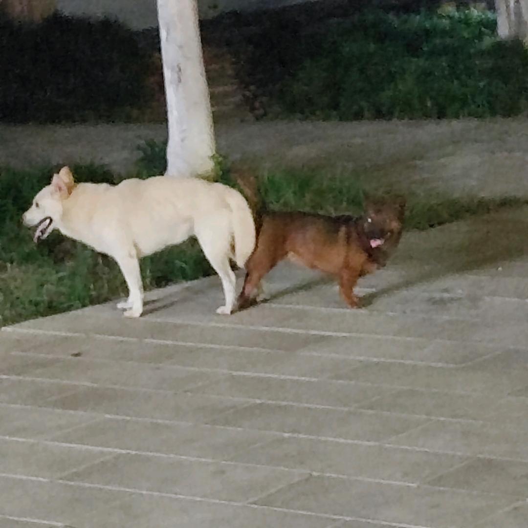 阿璃