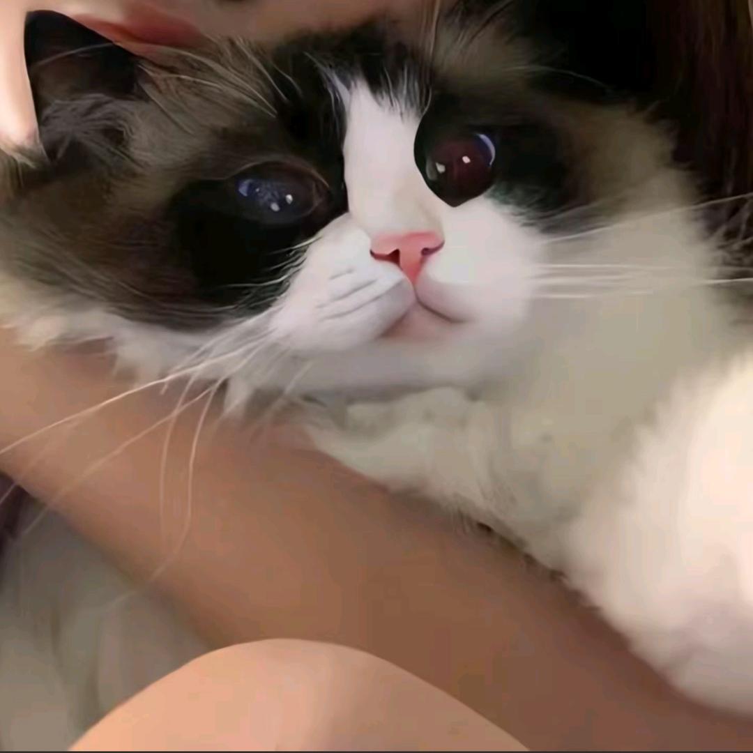 十七